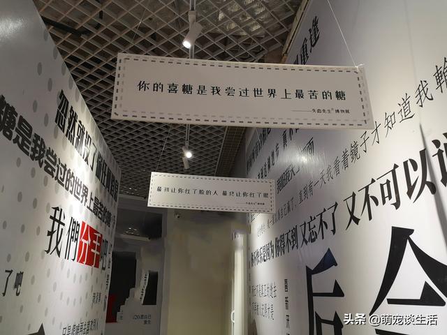 分手后最后祝福对方的话，分手后给对方祝福的话（盘点那些分手后的“祝福”）