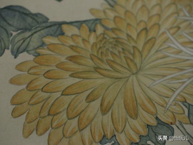 葩的读音（葩怎么读，葩是什么意思（金佛座、搓粉妆、绶带紫、鹤头丹）