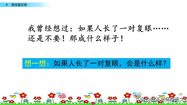 昆虫备忘录资料，部编语文三年级下册课文4、昆虫备忘录