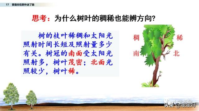 野外辨别方向的方法有哪些，野外辨认方向的6种方法（二年级下册语文17《要是你在野外迷了路》图文详解及同步练习）