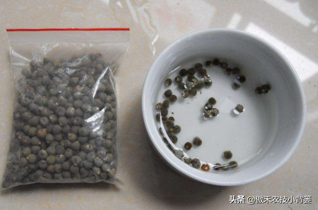 小苏打的学名叫什么，小苏打的学名叫什么碳酸氢钠片（瓜果蔬菜种植巧用小苏打）