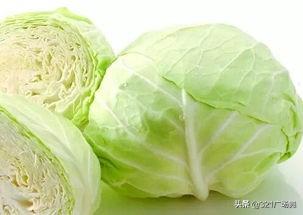 怎么区分包菜和绿甘蓝，怎样区分甘蓝和包菜（紫色包菜和绿色包菜价钱差得远）