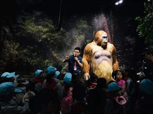 厦门旅游景点攻略，厦门旅游景点攻略 存知己（超超超超全任性畅玩！~）