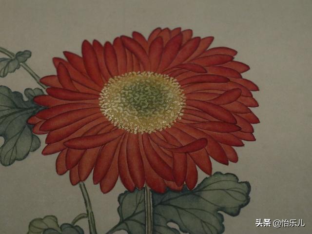 葩的读音（葩怎么读，葩是什么意思（金佛座、搓粉妆、绶带紫、鹤头丹）