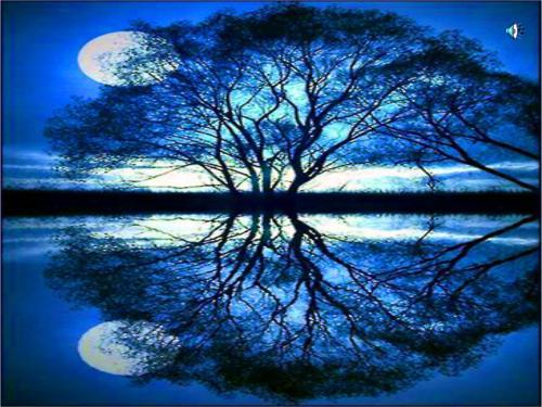 何处无竹柏，何夜无月何处无竹柏但少闲人如吾两人者耳翻译（人教版八年语文《记承天寺夜游》原文、注释、译文、习题及答案）