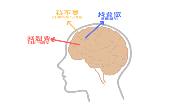 自控能力差的孩子怎么帮助调整，孩子自控力差用什么办法自我纠正（如何培养孩子的自控能力）