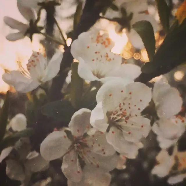 突然好想你你会在哪里，突然好想你你会在哪里是哪首歌（突然好想你，你会在哪里）