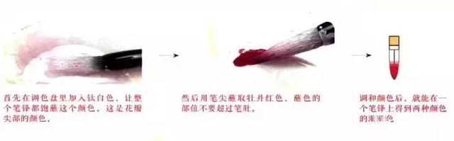 花蕾和花蕊有什么区别，花与花蕾的区别（花朵与花苞的处理）