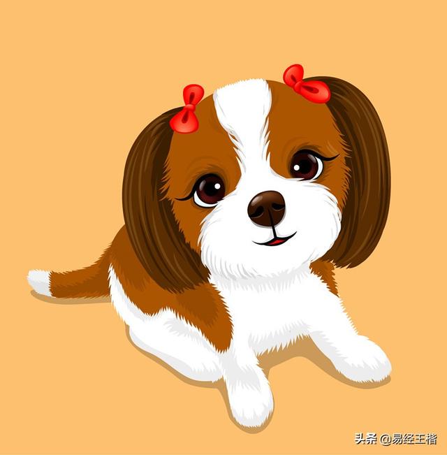 八字带戌亥不是凡胎，十二地支---戌<详解>（八字有戌亥）