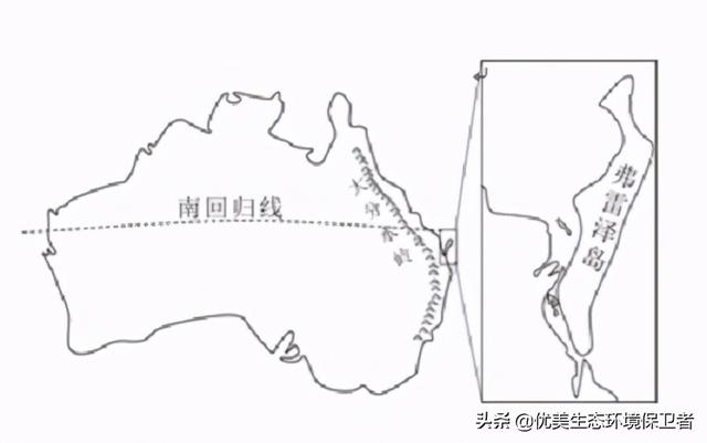 澳大利亚大火怎么引起的，如何看待澳大利亚大火事件（澳大利亚弗雷泽岛又发生了森林大火）