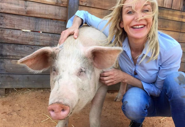 泔水桶是什么意思，部队锅食材（辟谣：禁止泔水养猪）