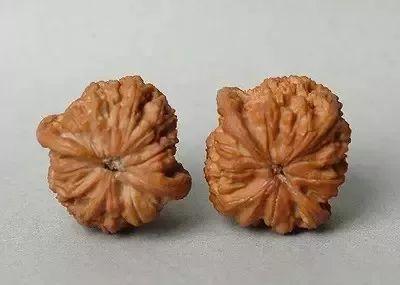 文玩核桃狮子头36万，赌核桃（文玩核桃狮子头大全）