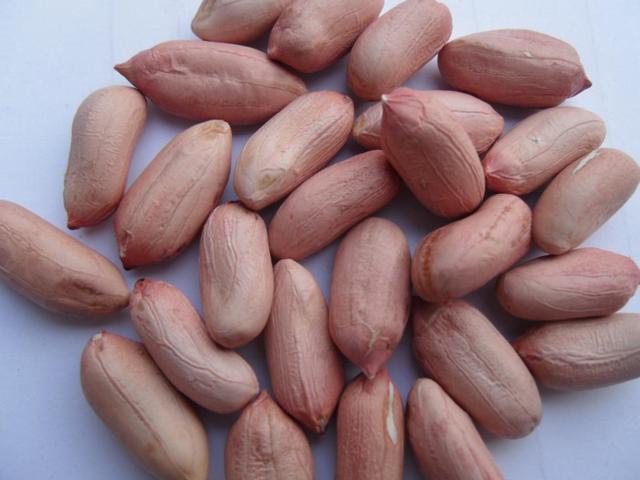 油炸花生米的危害，油炸花生米的好处和坏处（糖尿病人群吃油炸花生米、炒花生米会不会升血糖）