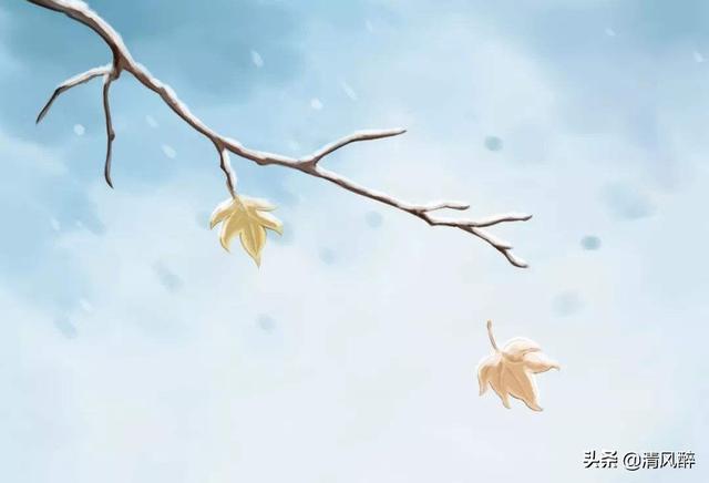 送给女朋友的情话，送给女朋友的情话短句（适合女朋友的唯美情话）