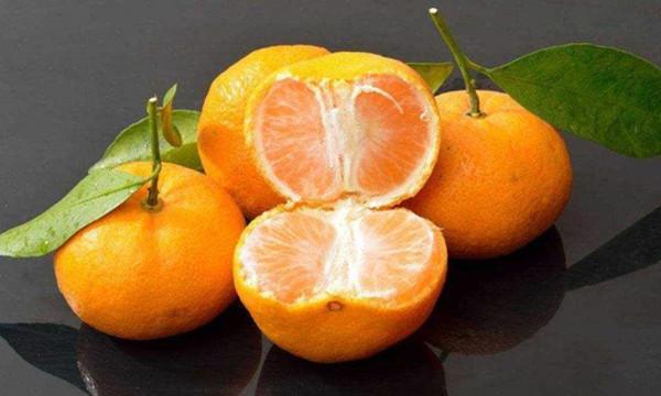 漳州有什么好吃的可以带的特产，漳州有什么好吃的可以带的特产零食（福建漳州十大特产有哪些）