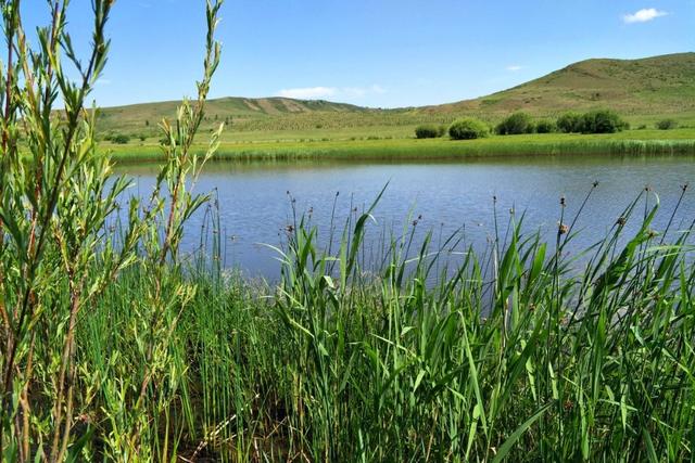 邗江区怎么读，邗江区怎么读拼音（全国地名生僻字汇总）