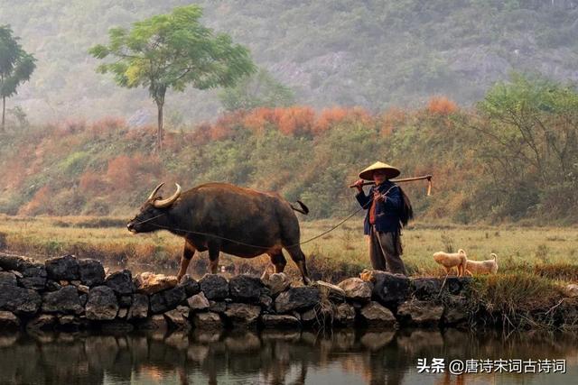 不待扬鞭自奋蹄，不用扬鞭自奋蹄（俯首甘为孺子牛）