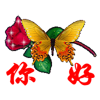 愿所有人平安快乐幸福，愿所有人平安健康快乐（愿快乐幸福平安永相伴图片）