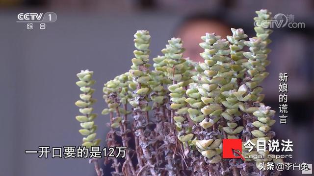 30岁不结婚该判刑，30岁不结婚该判刑 动态（两名奇葩“骗婚女”落网）