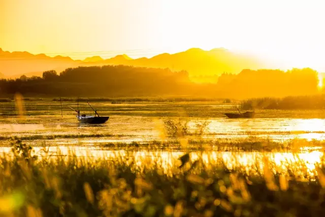 贵不独行意思，贵不独行意思和造句（每一首都有一个千古名句）