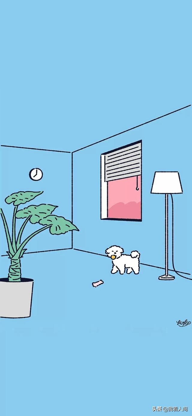 道枝骏佑壁纸❤❤，道枝骏佑图片高清头像（学生党壁纸！超好看）