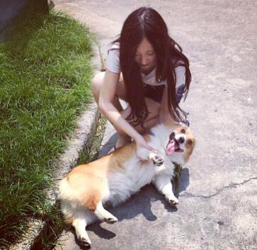 女生适合养的护卫犬，家庭护卫犬（这“7种狗狗”值得一养）