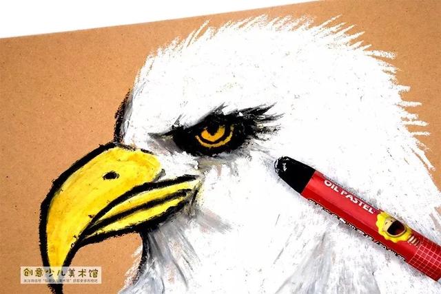 老鹰的眼睛的特点，老鹰的眼睛像什么一样锐利（油画棒色彩练习画雄鹰）