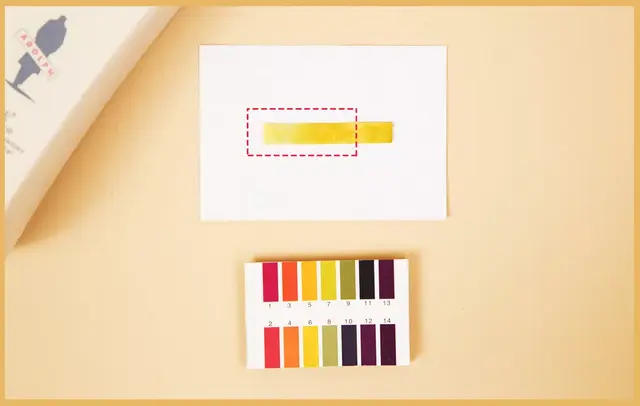 洗发水品牌大全，国际十大洗发水品牌（10款性价比超高的洗发水）