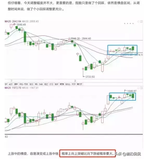 长江存储股票代码600206，长江储存股票代码是多少（砸锅卖铁全仓上车）