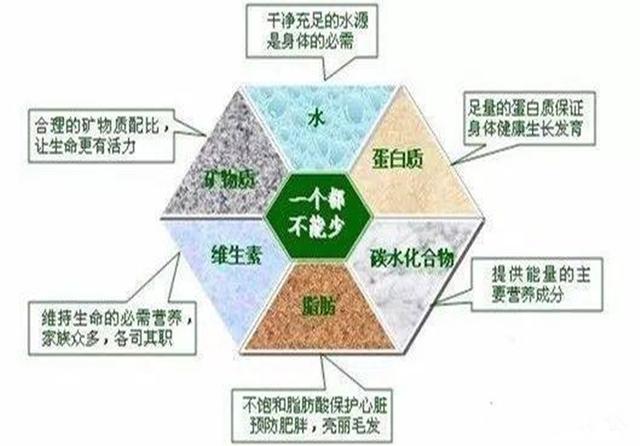 人能吃狗粮吗吃了会有什么害处吗，人能吃狗粮吗吃了会有什么害处吗视频（长期喂食泡软狗粮无助肠胃吸收）