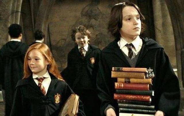 斯内普教授为什么讨厌哈利波特，《哈利波特》中的这一人