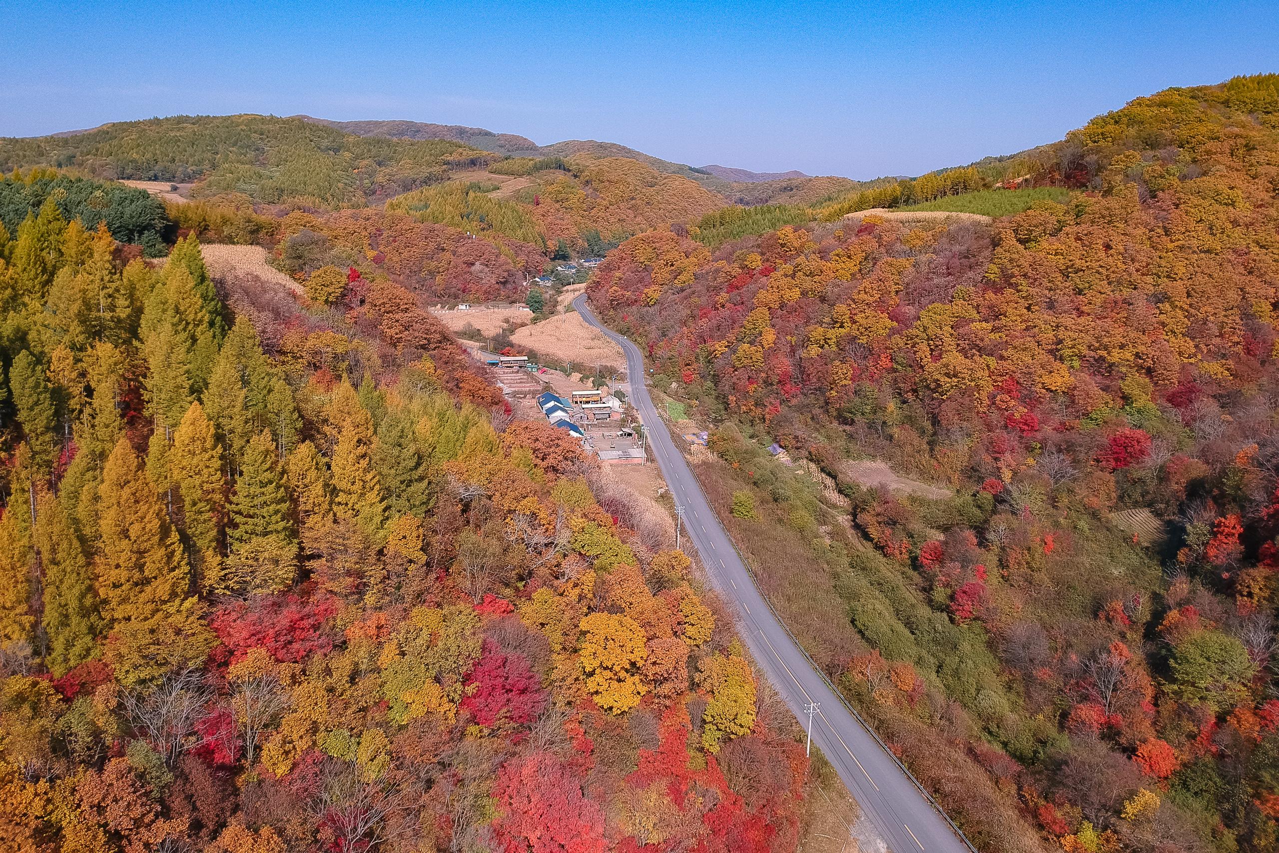 2021图片(18张精美图片带您回忆2020) - 赤虎壹号