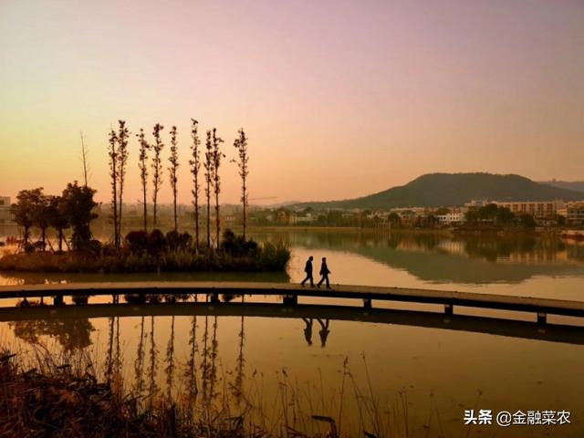 梦见红树叶好不好，今见枫叶红  梦见美人归