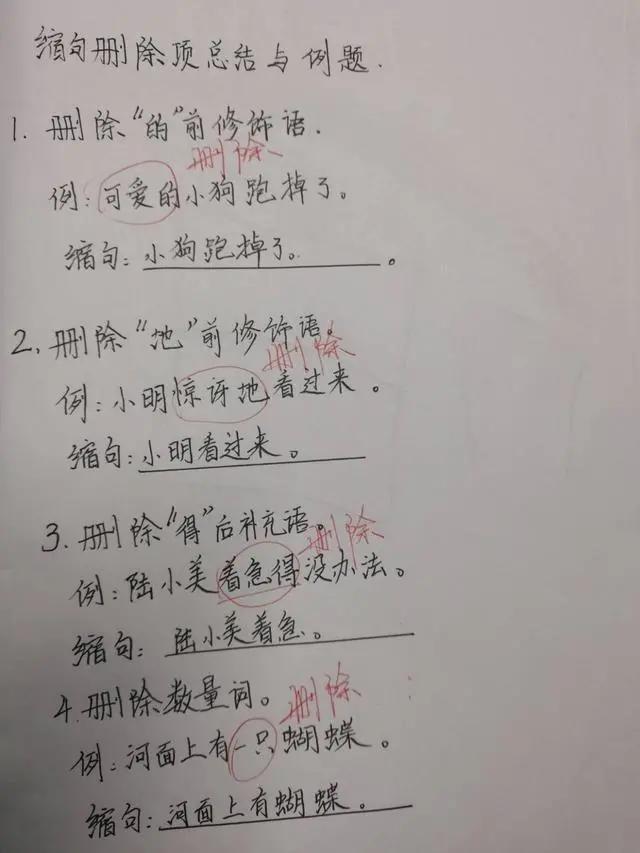减少什么词语（三年级语文期末考点）