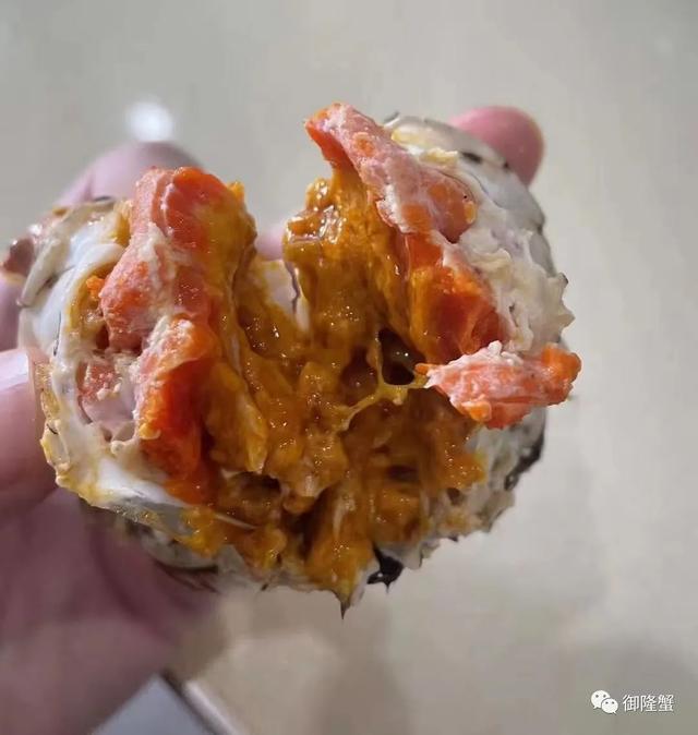 螃蟹什么时候最肥，螃蟹最肥的季节是几月份（几月是螃蟹最肥的时候）