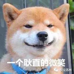 苏州火车站和高铁站在一起吗，苏州汽车站和苏州高铁站在一起吗（苏州站不再是那个苏州站）