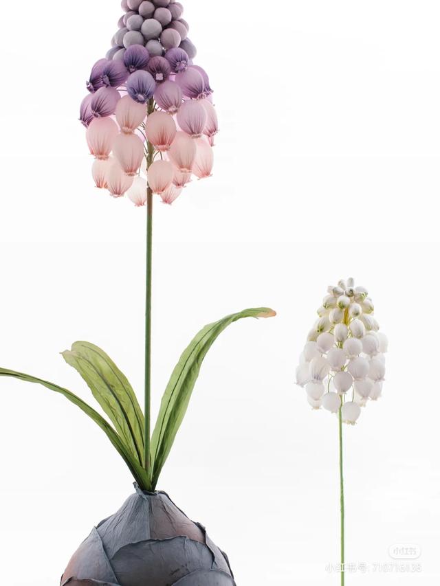 香皂花是什么材质做的，肥皂花是什么材料的（最适合懒人养的花）