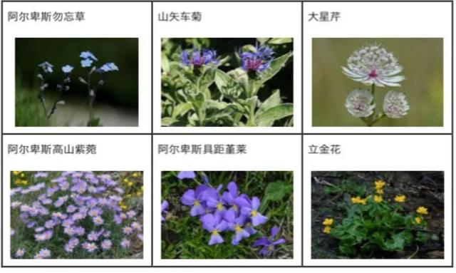 欧洲最高峰在哪个国家，欧洲最高峰指的是下列哪座山峰（你所不知道的百科二三事）