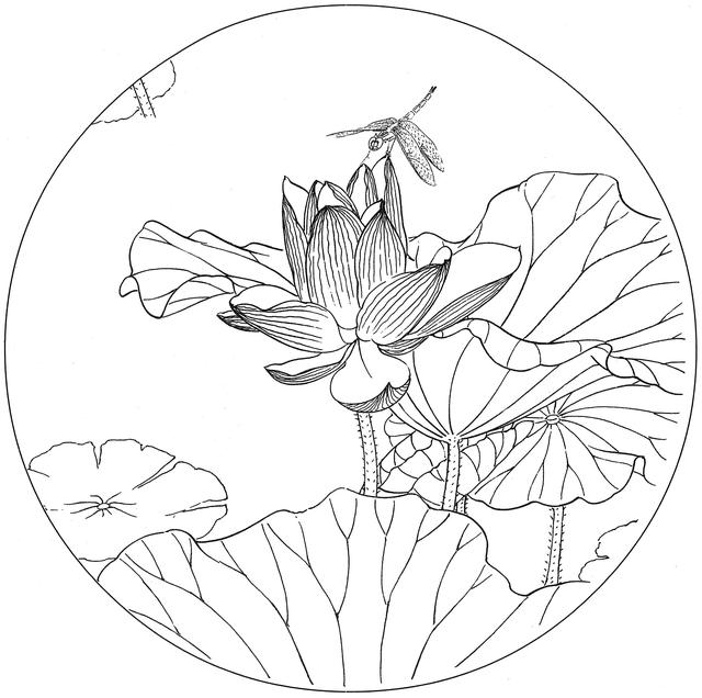 工笔荷花白描，高清工笔荷花白描 110幅