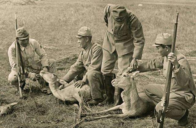 第二次世界大战的原因，二战怎么引起的（第二次世界大战的战争起因是什么）