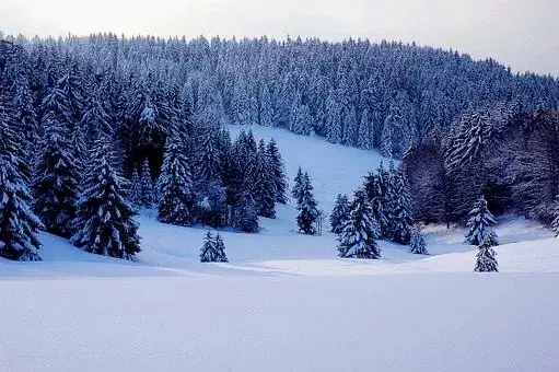 在古代可以用什么词代替雪，在古代对雪的称谓还有哪些（看看古人对雪的24种雅称）