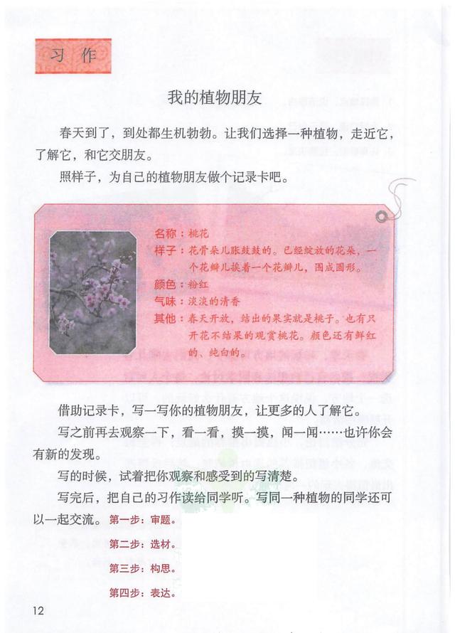 独角仙的特点是什么，独角仙的特点是什么什么,分别用了什么什么什么的方法（三年级语文下《第一单元课堂笔记》三个版本）