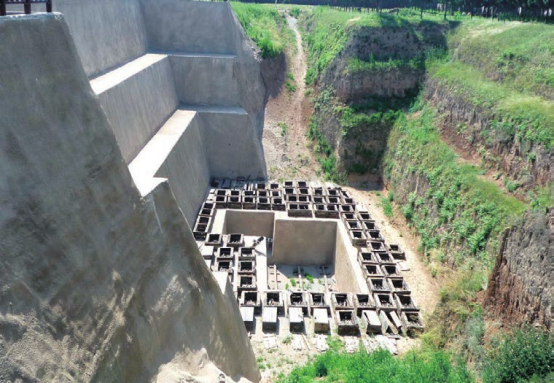 【黄柏木】黄柏木家具好吗，黄柏树木质怎么样（中国最恐怖古墓）