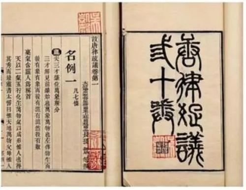 长安十二时辰里的狼卫是什么人，长安十二时辰中的狼卫是什么（《长安十二时辰》里的狼卫们）