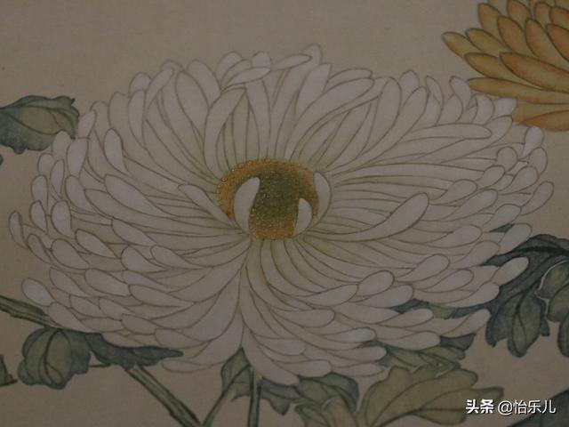 葩的读音（葩怎么读，葩是什么意思（金佛座、搓粉妆、绶带紫、鹤头丹）