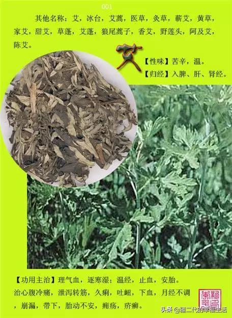 常见中草药图谱，中草药经典图谱（让你知道常用药都长啥样）