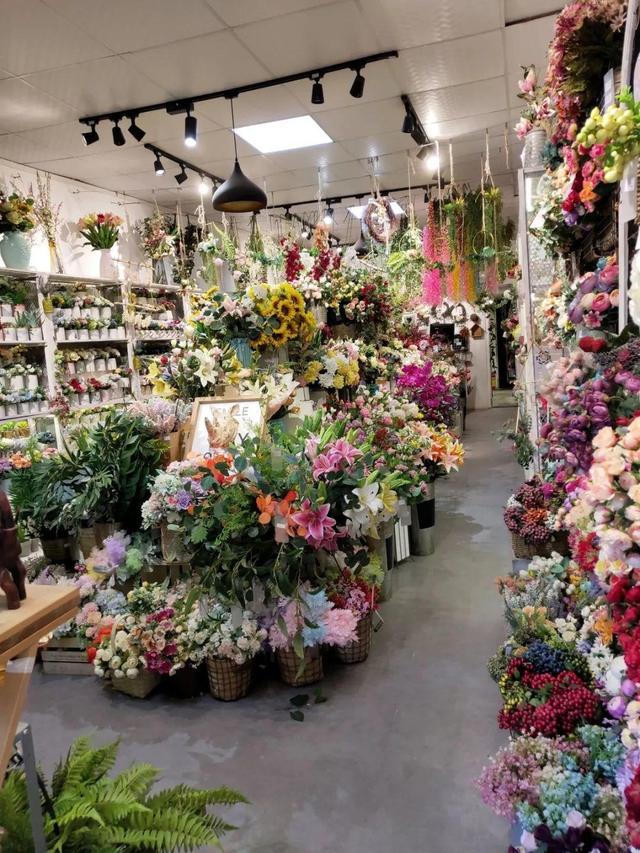 荷花最好看的品种是什么，这花最好看、最好养