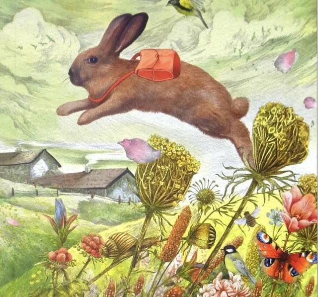 兔子坡好词好句，一百条裙子好词好句（兔子坡课外读物）