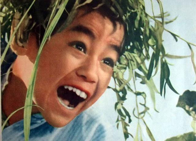 小兵张嘎简介，电影小兵张嘎全集完整版观看（图说老电影‖故事影片《小兵张嘎》）