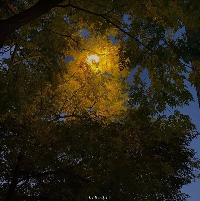 优质背景图，背景图片素材（优质背景图合集）